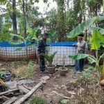 Babinsa Nogosari Motivasi Peternak Ikan Lele IMG-20240628-WA0097