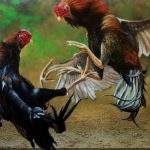 Judi Sabung Ayam Marak di Desa Bubuk Rogojampi IMG-20240805-WA0044