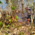 Polisi Bersama TNI dan Relawan Berhasil Padamkan Kebakaran di Gunung Liliran Ngawi IMG-20240814-WA0203