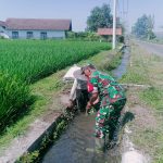 Penuhi Kebutuhan Air Petani, Babinsa Bersama Warga Bersihkan Saluran Irigasi IMG-20241006-WA0078