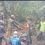 Babinsa dan Warga Gotong Royong Bangun Talud, Antisipasi Cuaca Ekstrim IMG-20250116-WA0015