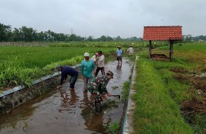 IMG-20250201-WA0082(1)