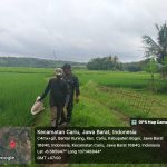 IMG-20250215-WA0019(1)