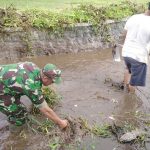 Optimalkan Saluran Irigasi Pertanian, Babinsa Kalipucung Bersama Poktan Tata Tentram Lakukan Kerja Bakti IMG-20250322-WA0058
