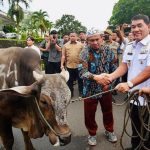 Gubernur Sulut Yulius Selvanus Dan Wagub Victor Mailangkay Berikan Bantuan 50 Ekor Sapi Kepada Umat Muslim di Sulut IMG-20250604-WA0144