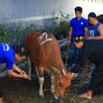Lapas Banyuwangi Dapatkan 17 Hewan Qurban untuk Dibagikan ke Warga Binaan IMG-20250606-WA0066