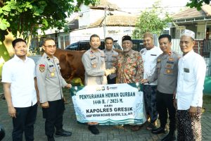 IMG-20250606-WA0082