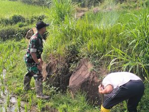 IMG-20250625-WA0056