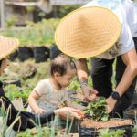 Screenshot_20250627-230244_WhatsApp