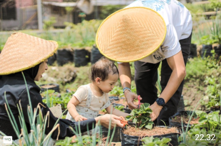 Screenshot_20250627-230244_WhatsApp