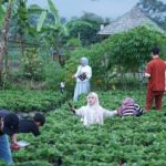 Screenshot_20250630-154629_WhatsApp