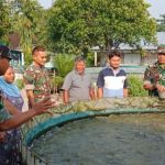 Babinsa Berbagi Ilmu dan Semangat, Kunjungi Peternak Lele IMG-20250702-WA0127