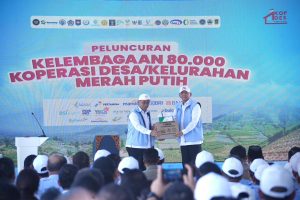 IMG-20250722-WA0046
