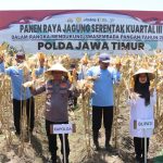 Dukung Program Ketahanan Pangan Nasional, Kapolda Jawa Timur Bersama Forkopimda Banyuwangi Gelar Panen Jagung Serentak 1.446 Ton IMG-20250927-WA0133