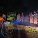 Hujan Disertai Angin Kencang Terjang Klego, Puluhan Rumah Rusak -TNI Gerak Cepat Tangani Dampak Bencana IMG-20251028-WA0177