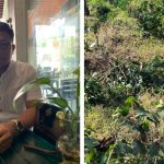 Amir Ma’aruf Khan Soroti Aktivitas Alat Berat di Luar Wilayah Izin Tambang Banyuwangi: “Dugaan Pelanggaran Hukum, DPR dan Perhutani Harus Bertindak!” Oplus_131072