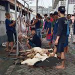 Semarak Idul Adha 1447 H: Masjid Tanwirul Qulub Rangkah Gang 3 Wadahi Kebersamaan dan Kedermawanan Warga 3ba27629-d8c3-48df-b6b0-9d451a8bac52